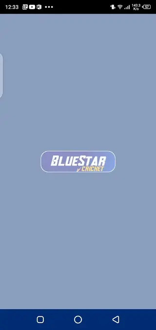Screenshot of Blue Star Cricket Download