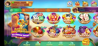 Screenshot of Domino Rich App