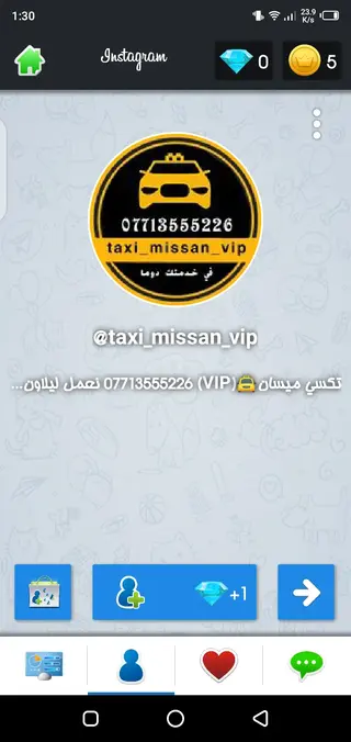Screenshot of Followergir Instagram