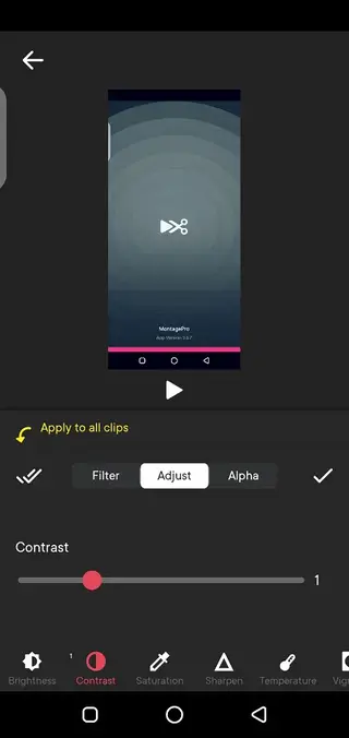 Screenshot of Montage Pro Download