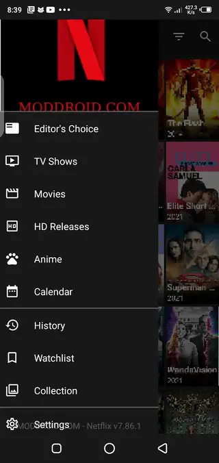 Screenshot of Netflix SV4 Download