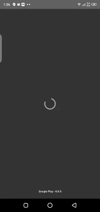 Screenshot of NS Followers App