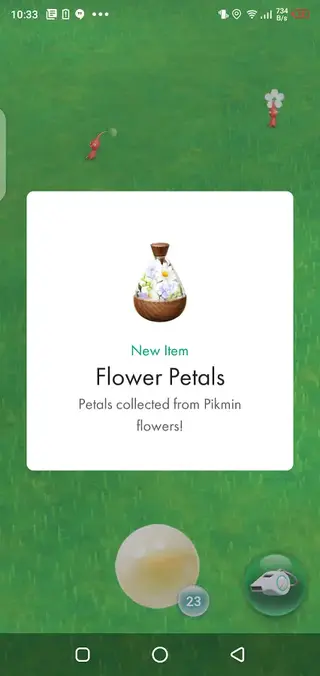 Screenshot of Pikmin Bloom App