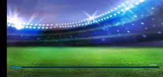 Screenshot of Pro Cricket Mobile