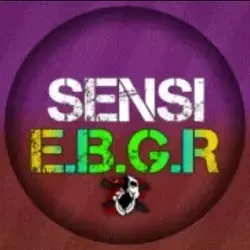 Sensi E.B.G.R icon