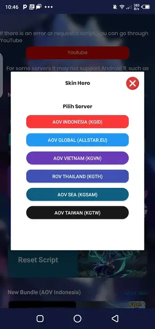 Screenshot of Skin Tools Valor Pro