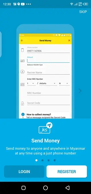 Screenshot of Wave Money Download