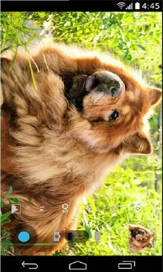 Screenshot of Xiaomi Leica Camera Apk