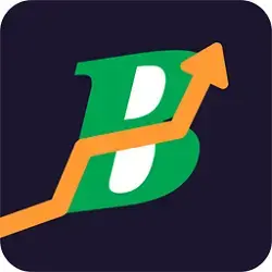 Bharat Option icon