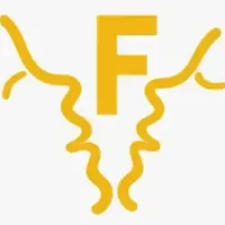 Feneo Movies icon