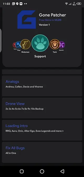 Screenshot of Gone Patcher Injector