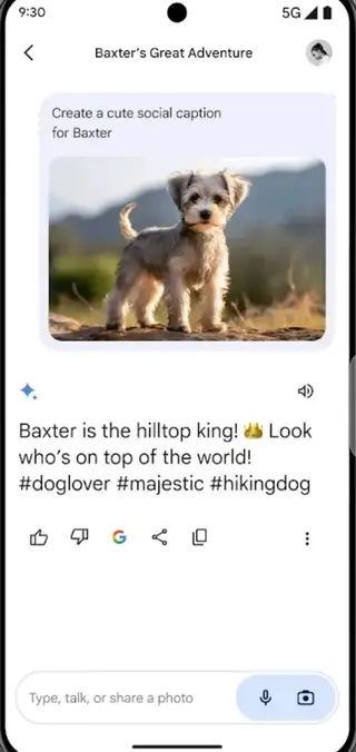 Screenshot of Google Gemini Download