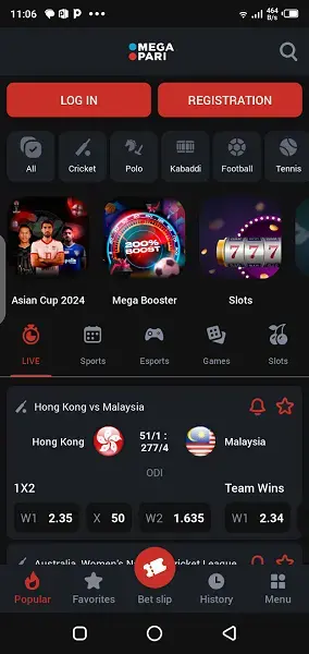 Screenshot of MegaPari Download
