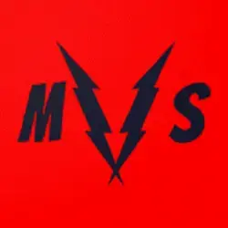 Multiversus icon