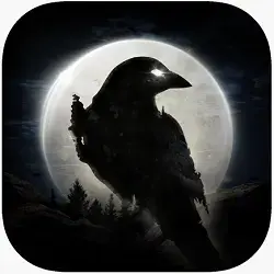 Night Crows icon