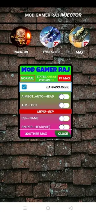 Screenshot of Raj Gamer
