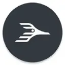 Roadrunner