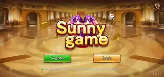 Screenshot of Sunny Game App