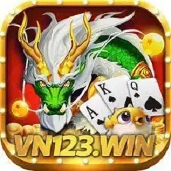 VN123 icon