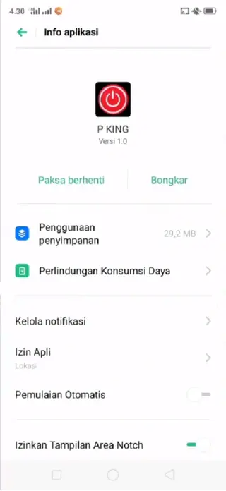 Screenshot of P King App