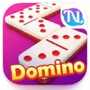 HIGGS Domino Global