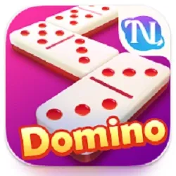 HIGGS Domino Global