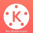 KineMaster Pro