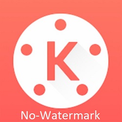 KineMaster Pro