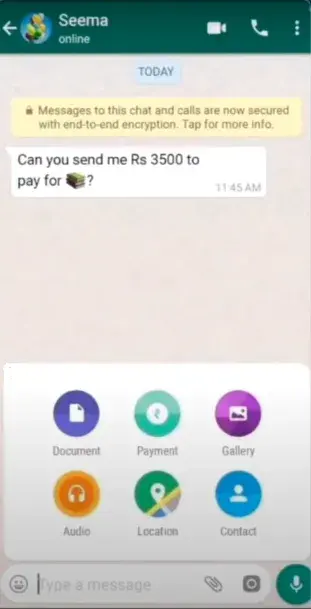 Screenshot of WhatsApp Pay App APK