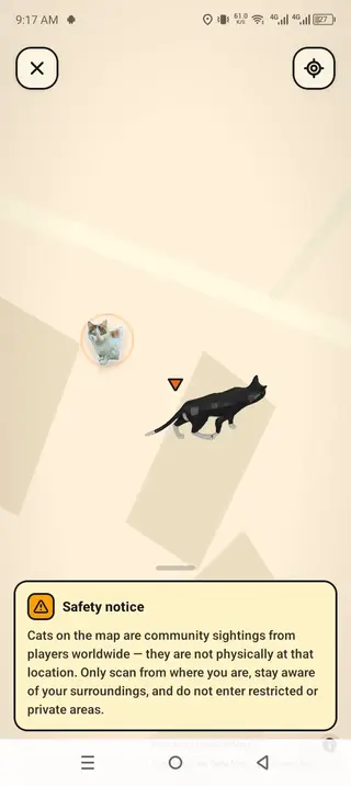 Screenshot of CatchCat Game