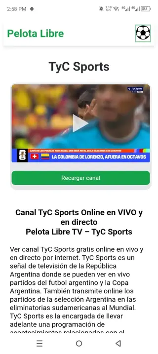 Screenshot of Pelota Libre Download