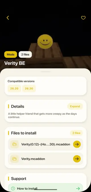 Screenshot of Verity Mod Game