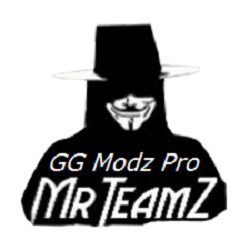 GG Modz Pro