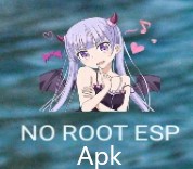 No Root ESP