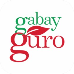 Gabay Guro App