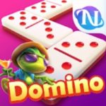 Domino RP Apk