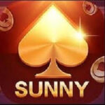 Sunny Game Apk