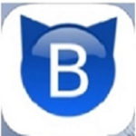 B Mod Apk