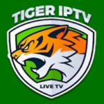 Tiger TV Apk