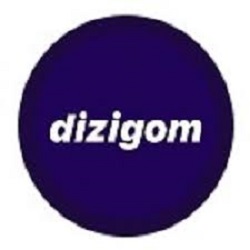 Dizigom