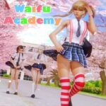 Waifu Academy