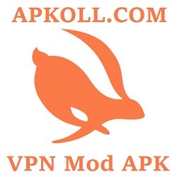 VPN Mod Apk