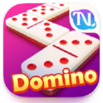 HIGGS Domino Global