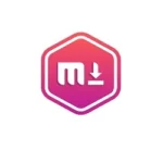 FLVTO Apk